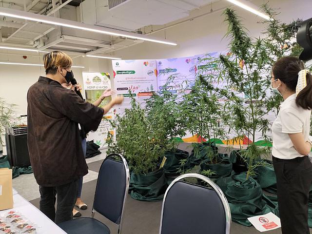 LINE ALBUM 61164 ๒๑๑๑๐๘ 51