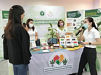 LINE ALBUM 61164 ๒๑๑๑๐๘ 64